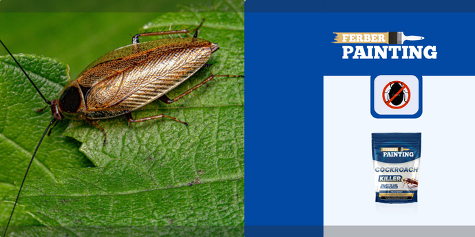 Sú šváby nebezpečné pre vaše zdravie?